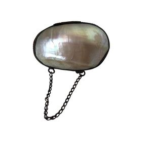 Antique abalone shell coin purse